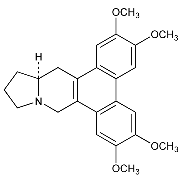 tylophorine-monograph-image