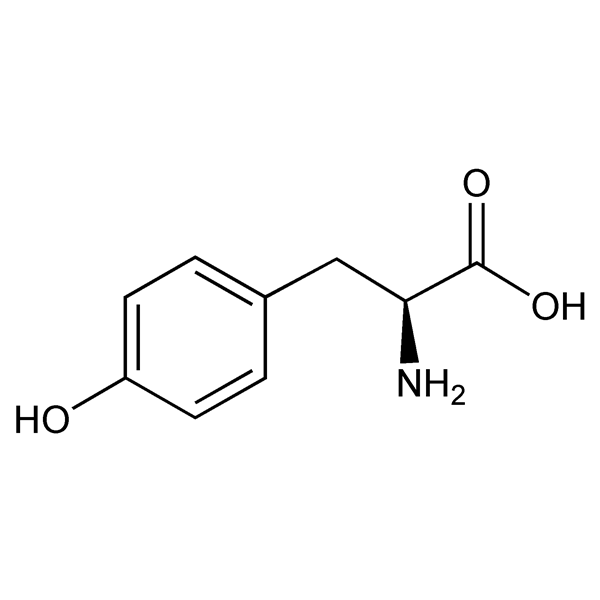 tyrosine-monograph-image