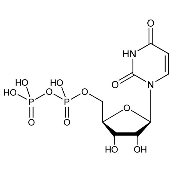 uridine5′-diphosphate-monograph-image