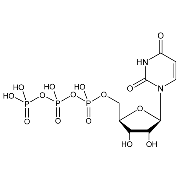 uridine5′-triphosphate-monograph-image