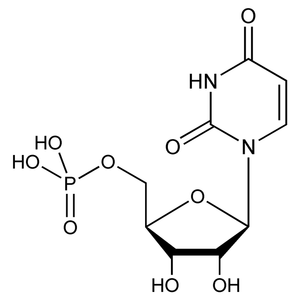 Graphical representation of 5′-Uridylic Acid