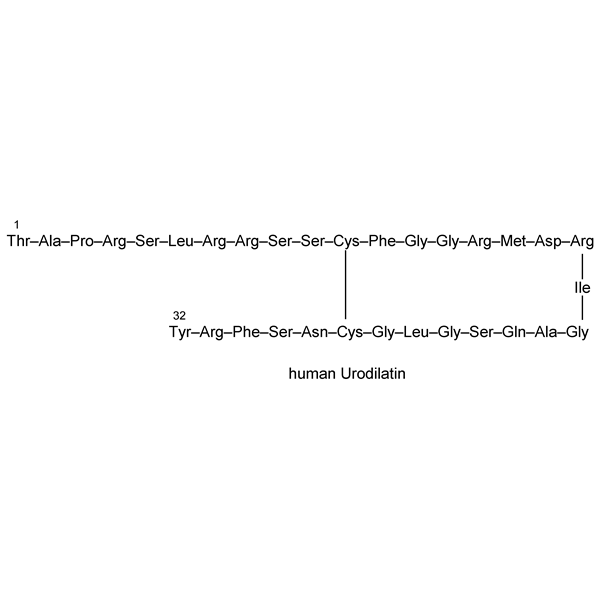 Graphical representation of Urodilatin