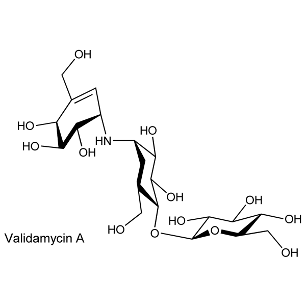 validamycins-monograph-image