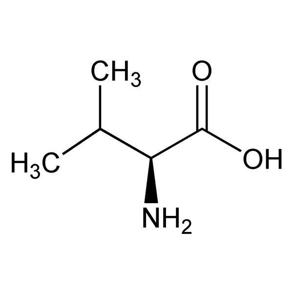 valine-monograph-image