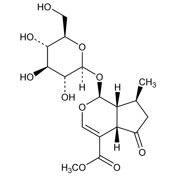 Graphical representation of Verbenalin