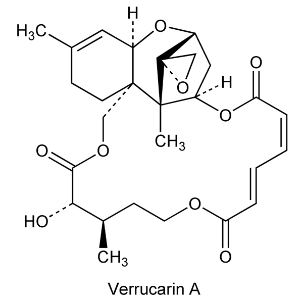 Graphical representation of Verrucarins