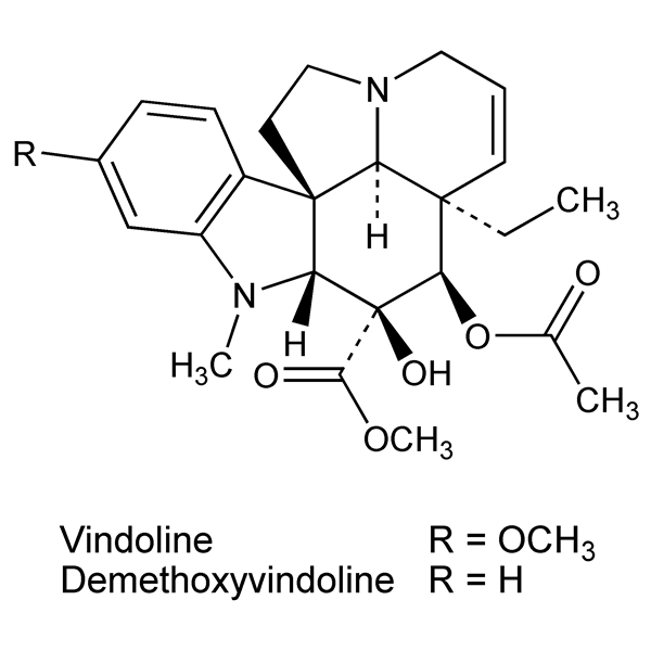 Graphical representation of Vindoline