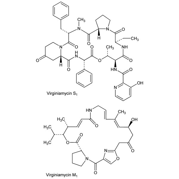 Graphical representation of Virginiamycin