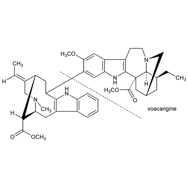 Graphical representation of Voacamine