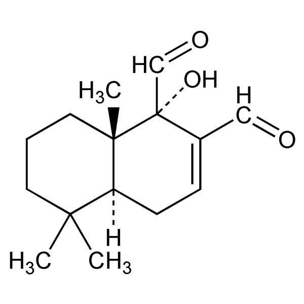 warburganal-monograph-image