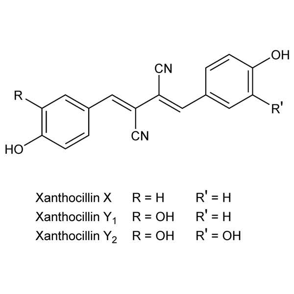 xanthocillin-monograph-image