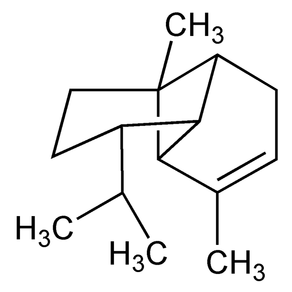 Graphical representation of Ylangene