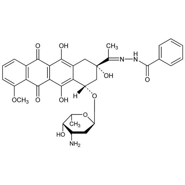 Graphical representation of Zorubicin