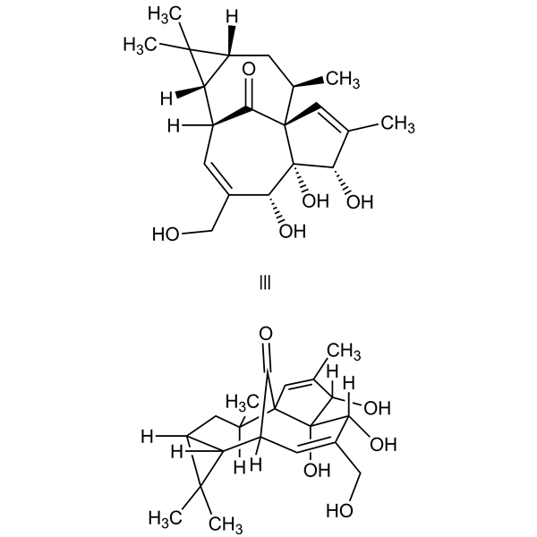 ingenol-monograph-image