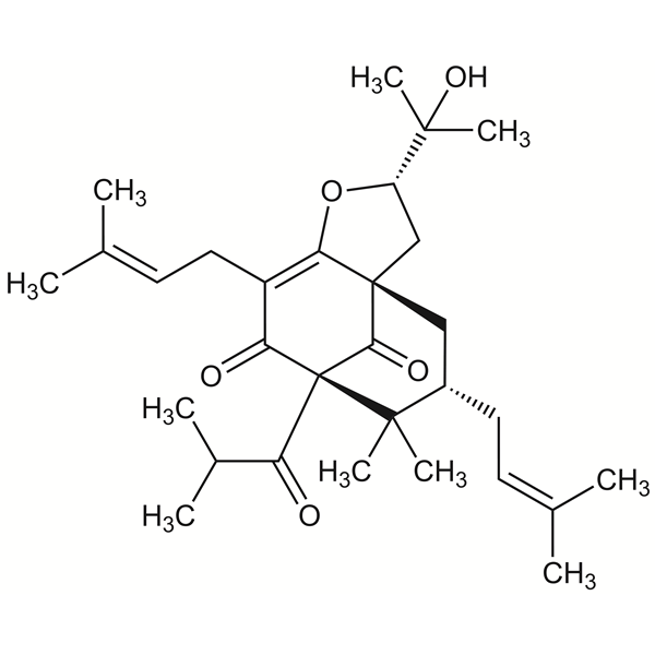 garsubellina-monograph-image