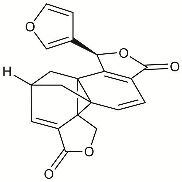 Graphical representation of Salvileucalin B