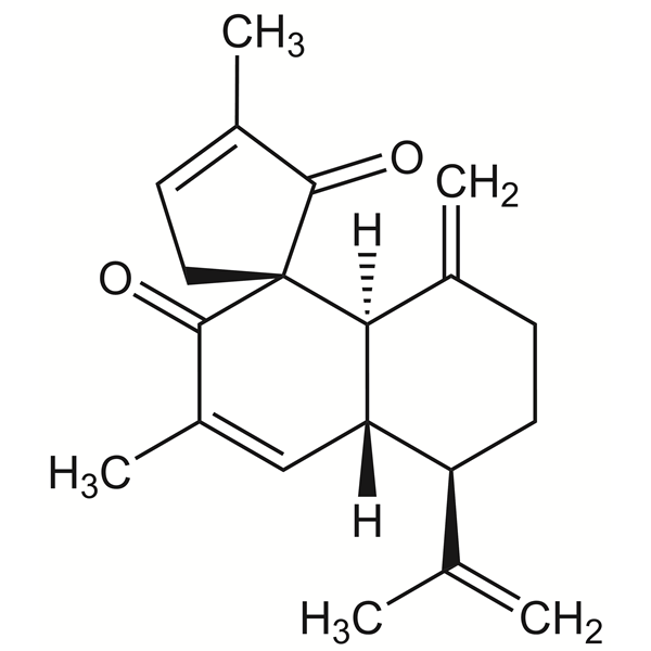 Graphical representation of Spirocurcasone