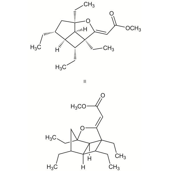 hippolachnina-monograph-image