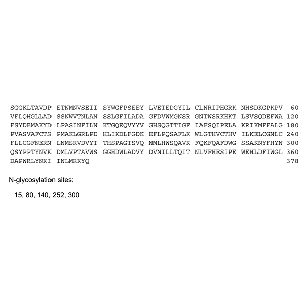 Graphical representation of Sebelipase alfa