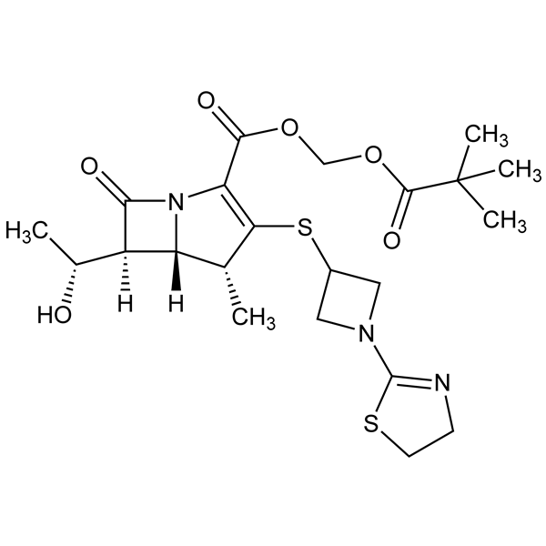 tebipenempivoxil-monograph-image