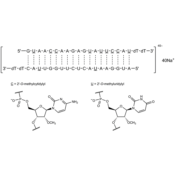 patisiransodium-monograph-image