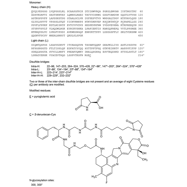 Graphical representation of Trastuzumab deruxtecan