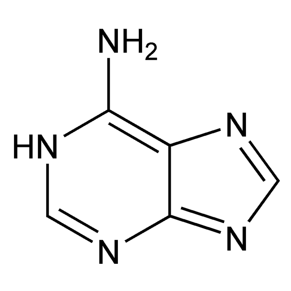 Graphical representation of Adenine