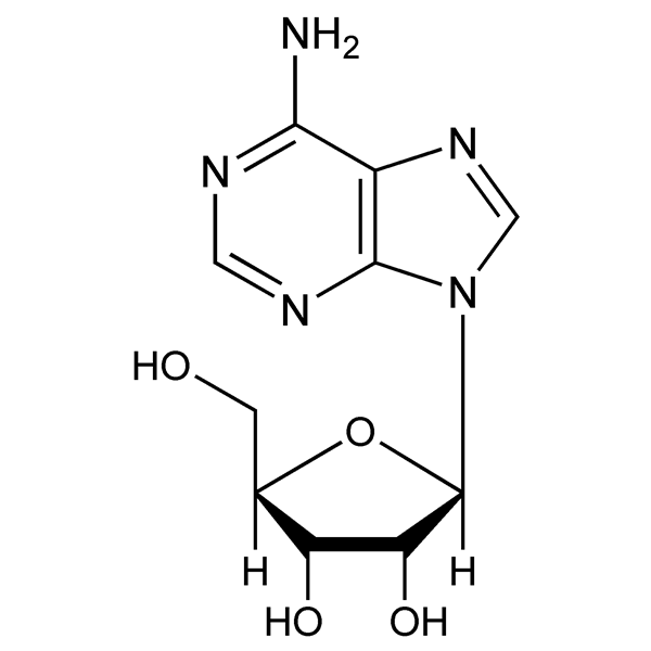 adenosine-monograph-image