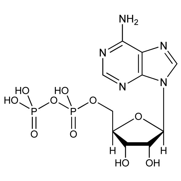 Graphical representation of Adenosine Diphosphate