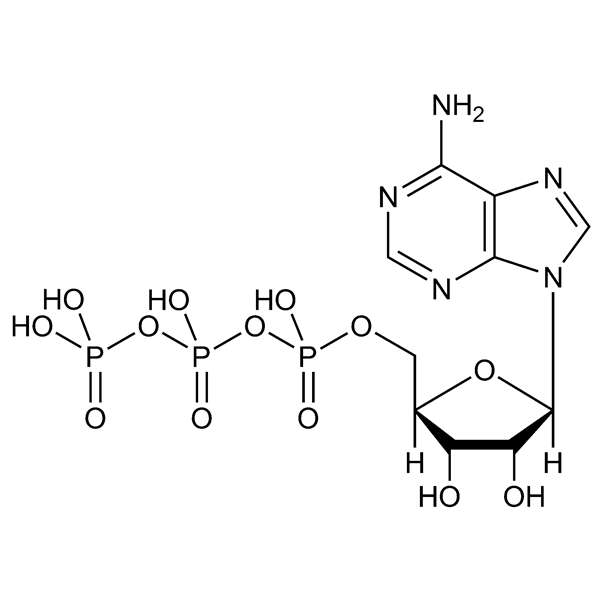 Graphical representation of Adenosine Triphosphate