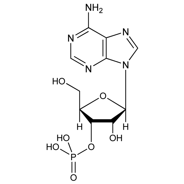 3′-adenylicacid-monograph-image