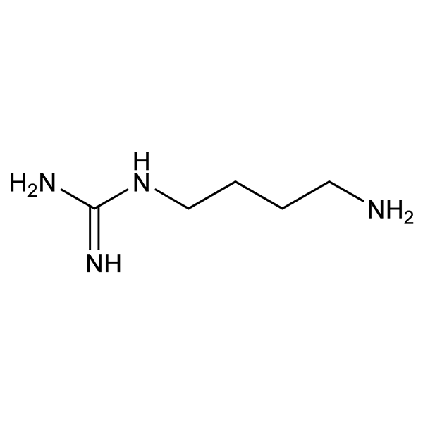 Graphical representation of Agmatine