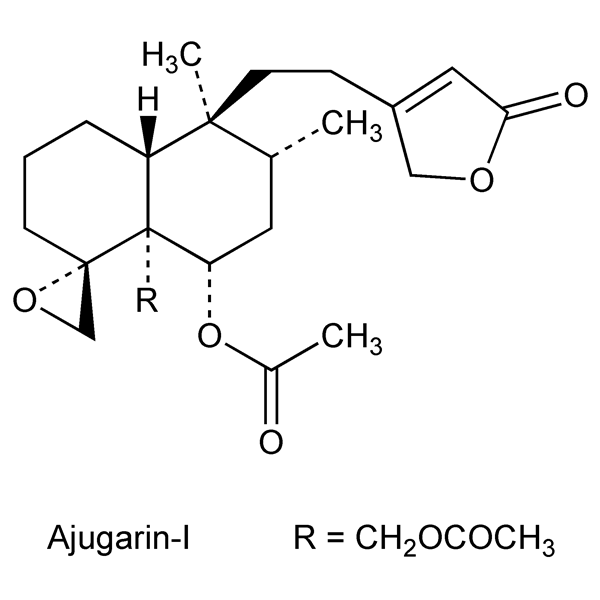 ajugarins-monograph-image