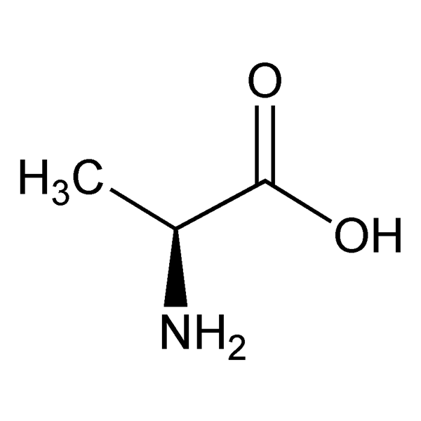 Graphical representation of Alanine