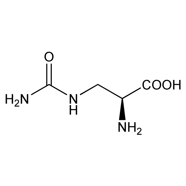 Graphical representation of Albizziin