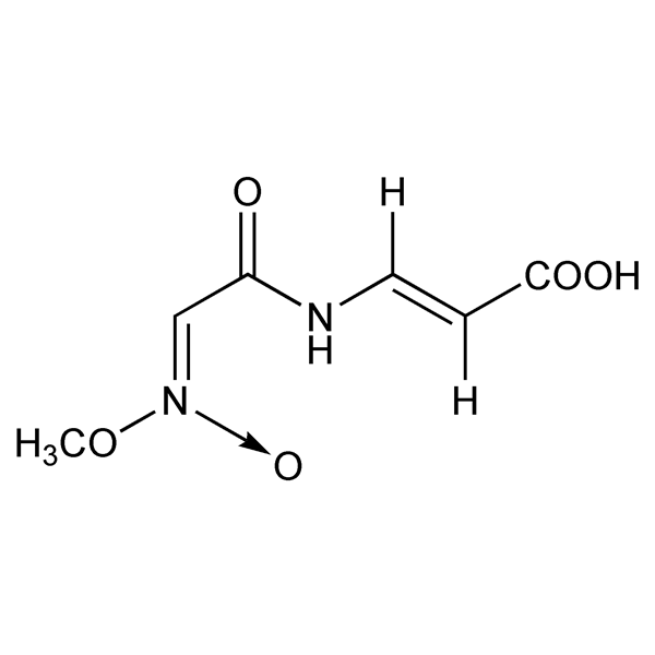 enteromycin-monograph-image