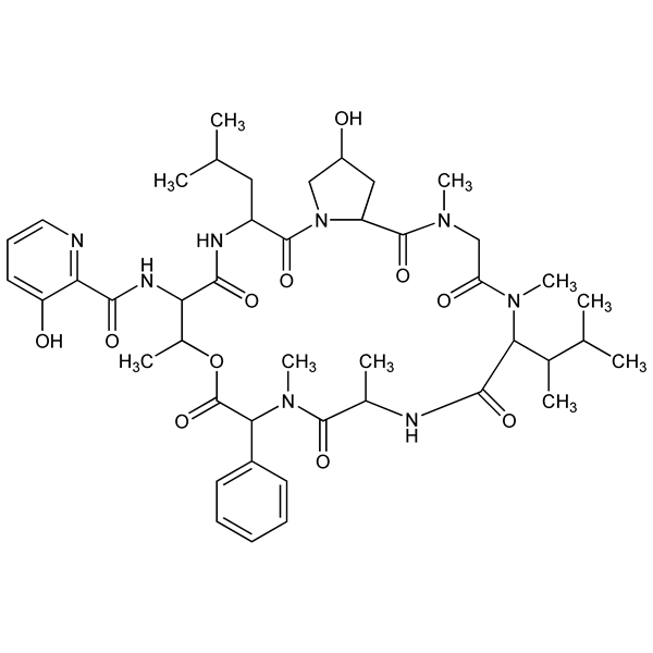 etamycin-monograph-image