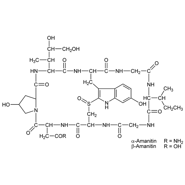 Graphical representation of Amanitin