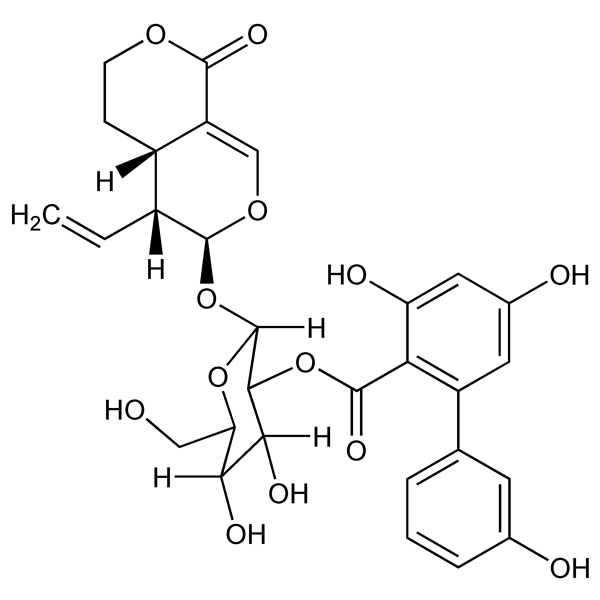 amarogentin-monograph-image