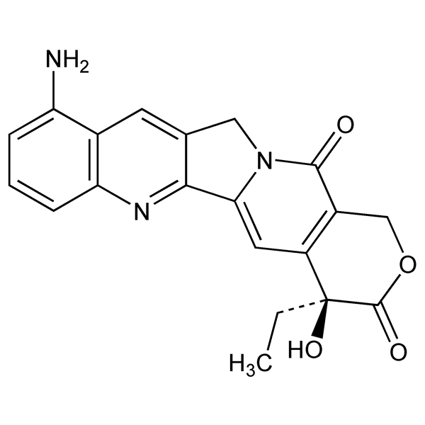 9-aminocamptothecin-monograph-image