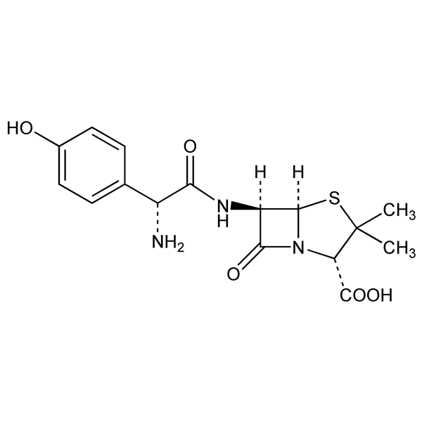 Graphical representation of Amoxicillin