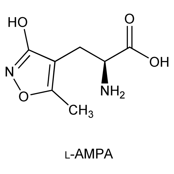 Graphical representation of AMPA