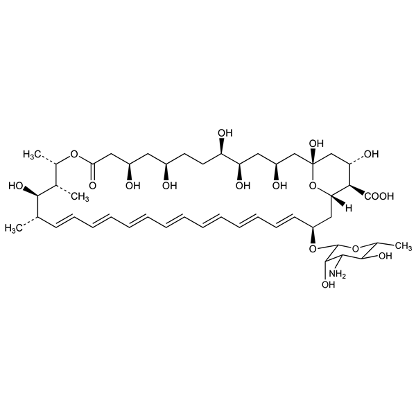 Graphical representation of Amphotericin B