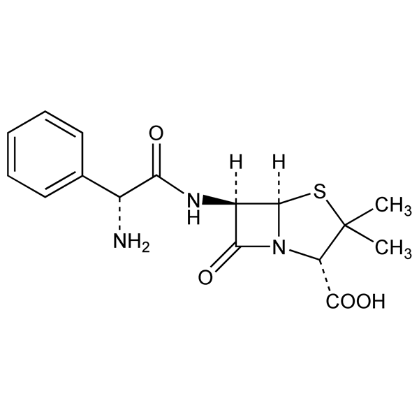 ampicillin-monograph-image