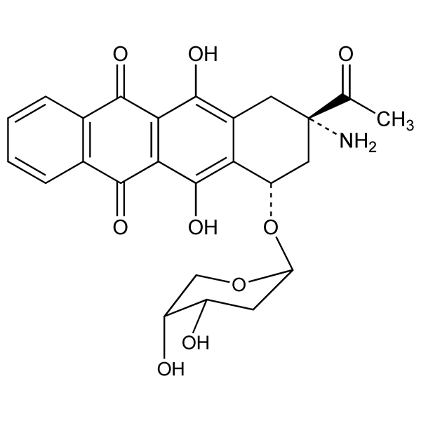 Graphical representation of Amrubicin