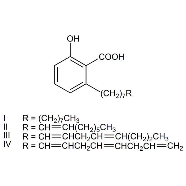 anacardicacid-monograph-image