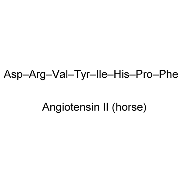 Graphical representation of Angiotensin