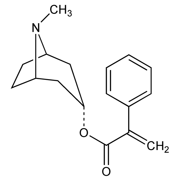 Graphical representation of Apoatropine