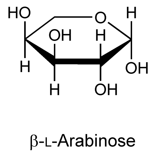 Graphical representation of Arabinose