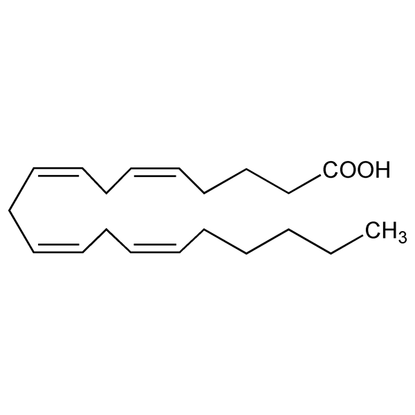 Graphical representation of Arachidonic Acid